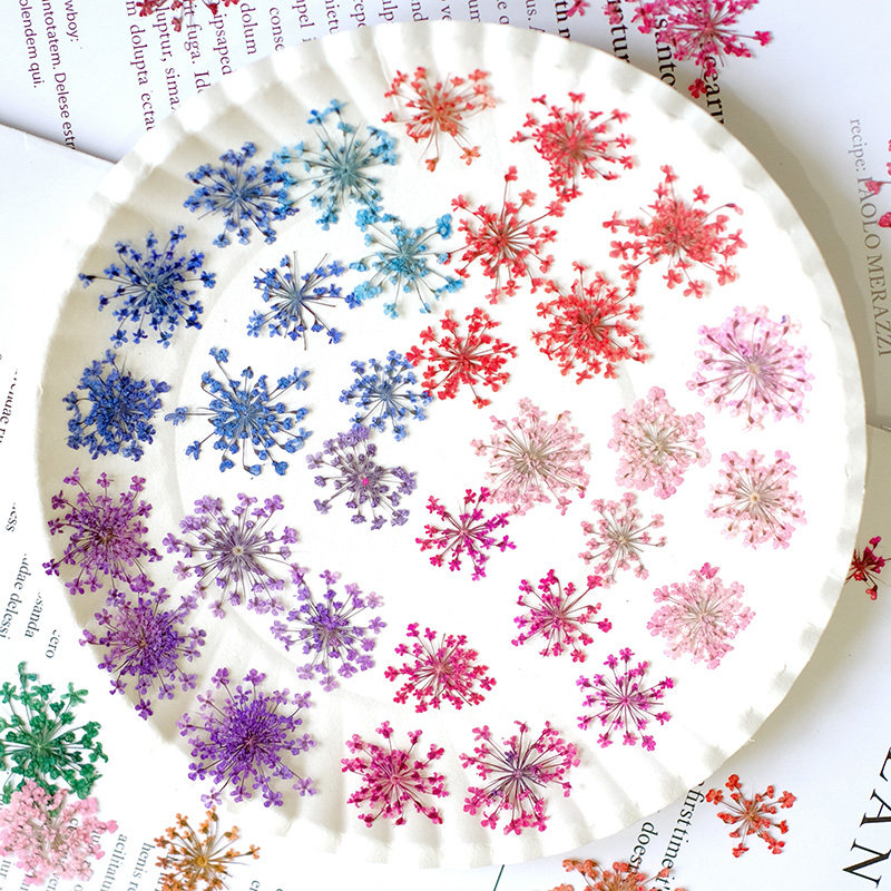 24pcs, 2-2.5cm, Nature Dyed Mi - Resin Art And Jewelry recension och pris